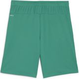 PUMA teamGOAL Shorts Heren sportbroek - Sport Green-PUMA White