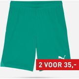 PUMA teamGOAL Shorts Heren sportbroek - Sport Green-PUMA White