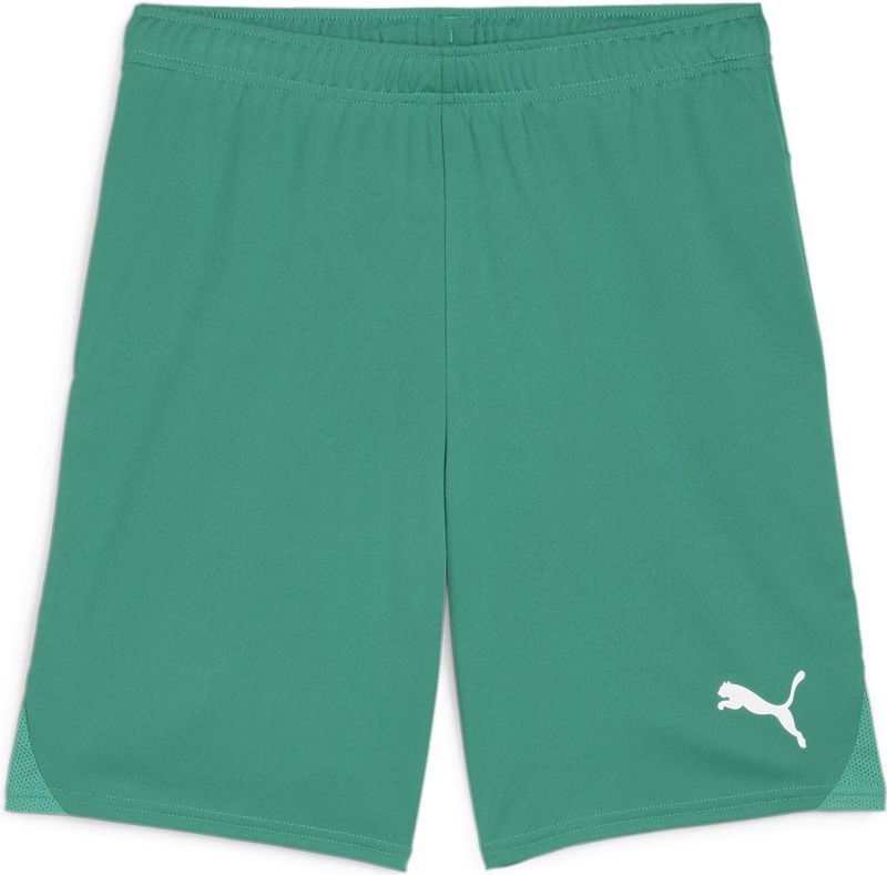 PUMA teamGOAL Shorts Heren sportbroek - Sport Green-PUMA White
