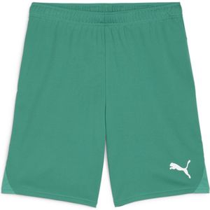 PUMA teamGOAL Shorts Heren sportbroek - Sport Green-PUMA White