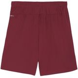 Puma - TeamGloal - Korte Ballen