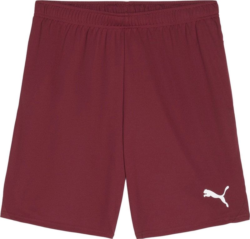 Puma - TeamGloal - Korte Ballen