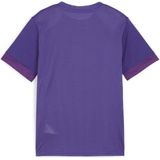 Puma - TeamGOAL Matchday Shirt - Paars - Junior