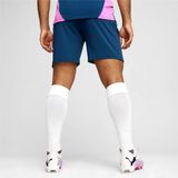 PUMA - individualfinal shorts - Blauw