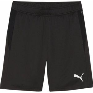 Puma - TeamGOAL - Sportsokken