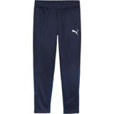 Trainingsbroek Puma Teamgoal