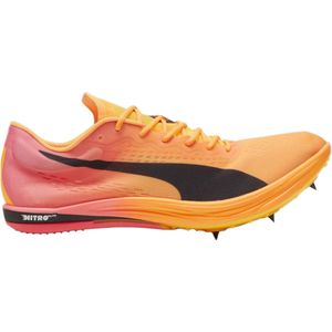 Track schoenen/Spikes Puma evoSPEED Long Distance NITRO Elite 2 379557-01 44,5 EU