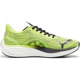 Hardloopschoenen voor heren velocity nitro 3 groen lz24