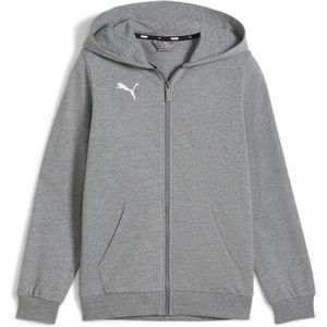 PUMA Teamgoal Casuals Jas met capuchon Jr Sweat