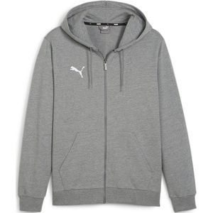 PUMA teamGOAL Casuals sweatshirt met capuchon voor heren, trui 658595 grijs