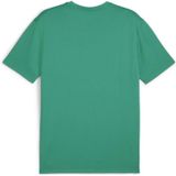 PUMA teamGOAL Matchday Jersey Heren Sportshirt - Sport Green-PUMA White-Power Green