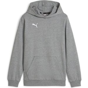 PUMA teamGOAL Casuals Hoody Jr Jongens sporttrui - Medium Gray Heather-Puma White