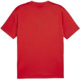 Jersey Puma Teamgoal Matchday