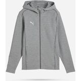 Puma - TeamFINAL Casuals - Hooded Jacket - Grijs