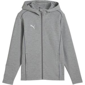 Puma - TeamFINAL Casuals - Hooded Jacket - Grijs