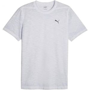 PUMA M Studio Foundation Wash Tee Hommes, Silver Mist