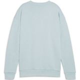 PUMA Unisex Ess+ Relaxed Small Logo Crew Tr Sweat