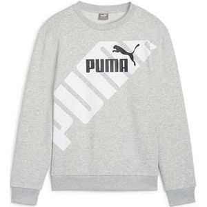 PUMA Unisex Power Graphic Crew Tr B Sweat