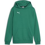 PUMA - teamGOAL Casuals - Hoody - Groen - Heren