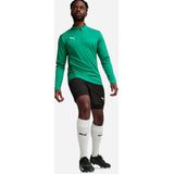 PUMA - teamGOAL Training 1/4 Zip Top - Heren - Zwart