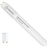 LED-buis - T8 - G13 Fitting - Glas - Splinterbescherming