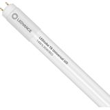Ledvance LED Buis T8 Performance (UN) High Output 14W 2100lm - 865 Daglicht | 120cm - Vervangt 36W
