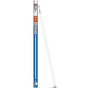 OSRAM LED-rør T8 18 EM 720 mm, lineært LED-rør, 7W, 850lm, 6500K, dagslys hvidt lys, LED-erstatning til T8 lysstofrør med G13 sokkel, lang levetid, lavt energiforbrug