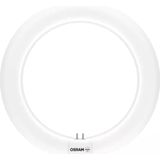 Ledvance - LED Ringbuis T9C - Wit - 11 W - 1200 lm - G10q