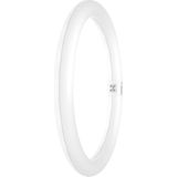 Led eek: e (a - g) G10q Ringform 18.3 w = 32 w Neutralweiß (ø x l) 300 mm x 300 mm 1 St. - Osram
