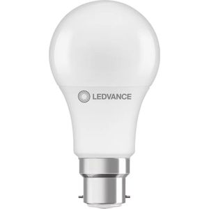 Ledvance Performance LED Lamp B22d Peer Mat 8.5W 806lm - 827 Zeer Warm Wit | Vervangt 60W