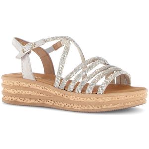 Zomerschoen - Platinakleur - Bandjessandaal - Sleehak - Open Neus