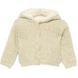 Gebreid Vest - Met Capuchon - Teddyvoering - Voor Baby's