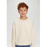 s.Oliver - Sweater - Blauw - Katoen