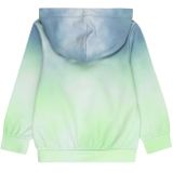 Regular - Fit Hoodie - Katoenmix - Kleurverloop