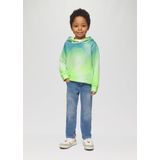 Regular - Fit Hoodie - Katoenmix - Kleurverloop