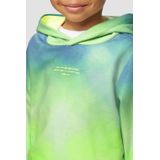 Regular - Fit Hoodie - Katoenmix - Kleurverloop