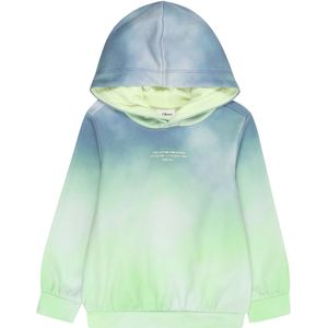 Regular - Fit Hoodie - Katoenmix - Kleurverloop