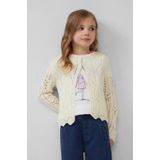 Vest - Ronde Hals - Lange Mouwen - Gebreid - Geschulpte Zoom - Lichtgrijs