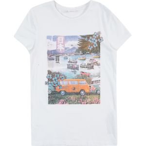 T-shirt - Regular-fit - Katoenen Jersey - Korte Mouwen - Ronde Hals