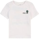 T-shirt - Katoenen Jersey - Multicolor - Korte Mouwen - Ronde Hals