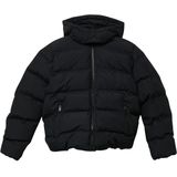 s.Oliver RED LABEL - Gewatteerd Jack - Regular Fit - Met Capuchon