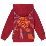 s.Oliver - Sweater - Met Capuchon - Voor Dagelijks Gebruik