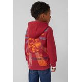 s.Oliver - Sweater - Met Capuchon - Voor Dagelijks Gebruik