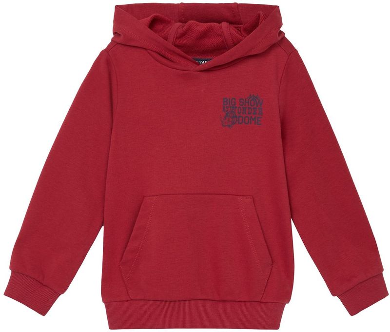 s.Oliver - Sweater - Met Capuchon - Voor Dagelijks Gebruik