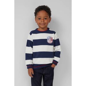 Productsoort - Gestreept - Katoenmix - Ronde Hals - Lange Mouwen