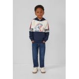 s.Oliver RED LABEL - Regular Fit - Hoodie - Meerkleurig - Katoenmix