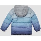 Jas - Gewatteerd - Winterjassen