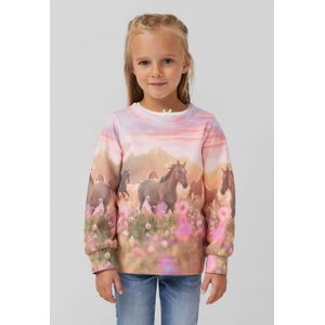 s.Oliver - Sweatshirt - Blauw - Normale Pasvorm - Lange Mouw - Ronde Hals