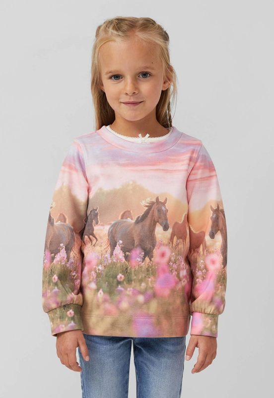 s.Oliver - Sweatshirt - Blauw - Normale Pasvorm - Lange Mouw - Ronde Hals