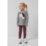 s.Oliver RED LABEL - Gebreide Pullover - Regular Fit - Intarsia